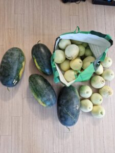 망고수박 애플참외